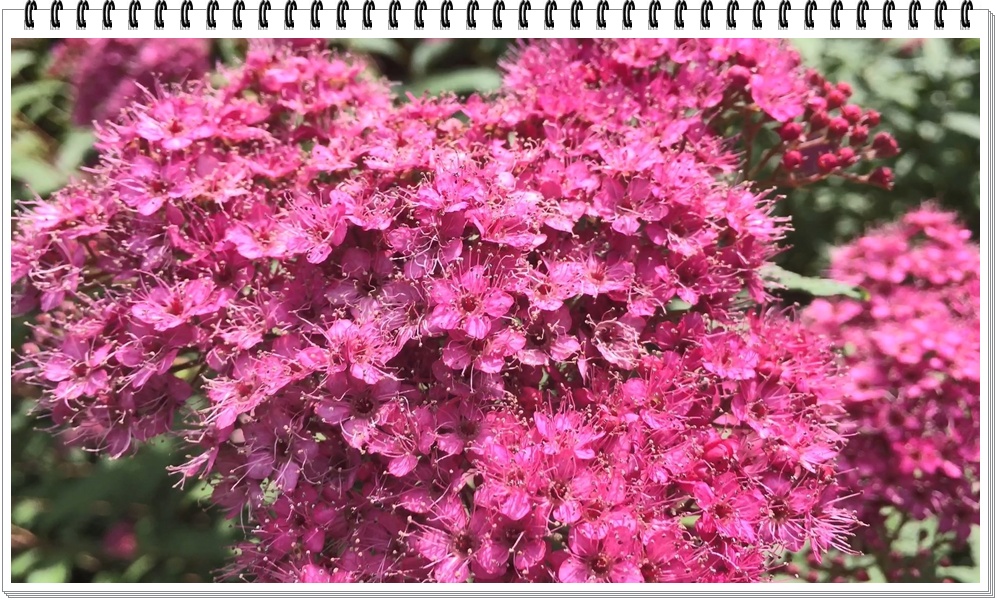 www16
