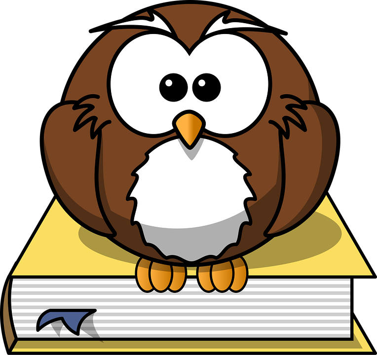 owl 297413 960 720
